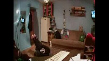 Webcam Dance