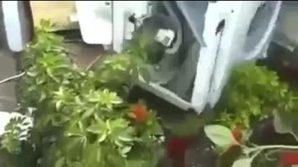 The Best Harlem Shake Ever!