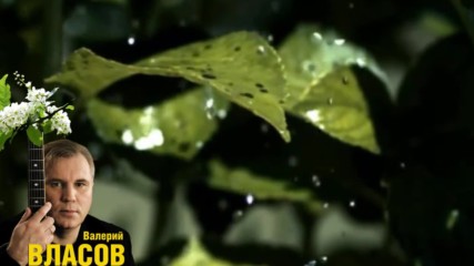Валерий Власов - Желтый Дождь