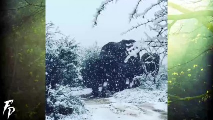 Сняг в Южна Африка - Wow Snowfall in South Africa Sept 9 2018