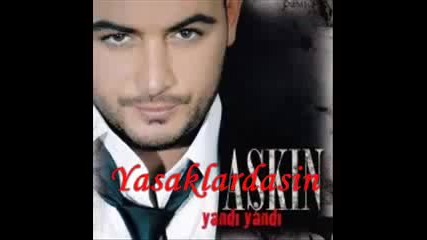Askin 2010 Icimi Dokemem