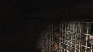 Silent Hill 2 - част 19 - Трите плочи - Hard Mode