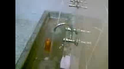 Мизерия В Попов (смях) 