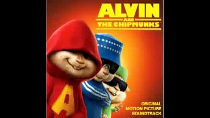 Too Cool Chipmunk