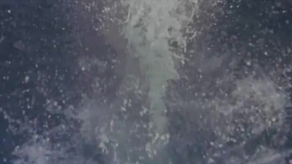 Free Willy - Ruf der Freiheit (michael Jackson - Will You Be There )