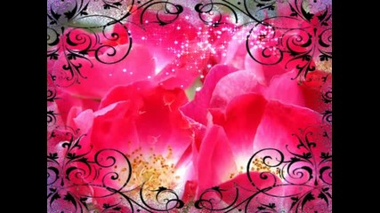 The Rose 