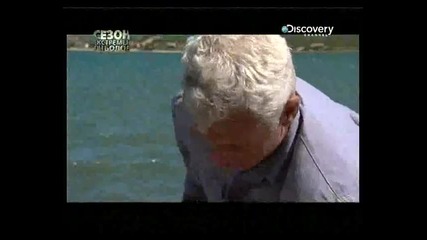 Discovery channel - River monsters (hidden predator) bg audio - 3