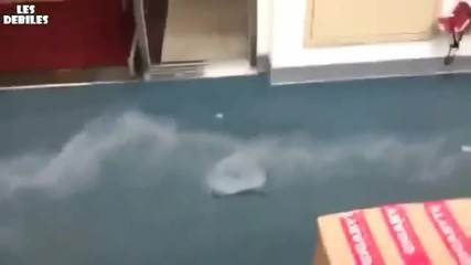 Някои не са внимавали по Химия