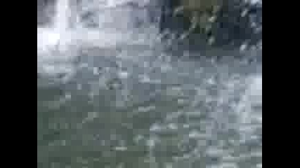 Mov00032