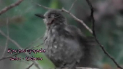 Красива природа