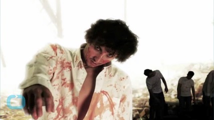 New Book Explores the Zombie Brain