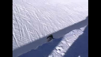 Snowboard