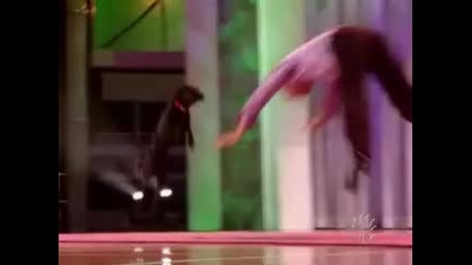 Кучета с талант