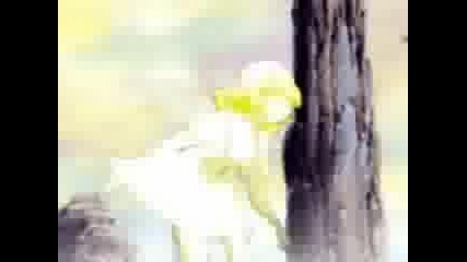 Anime Girl Fight