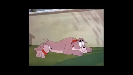 Tom I Jerry Parodia 