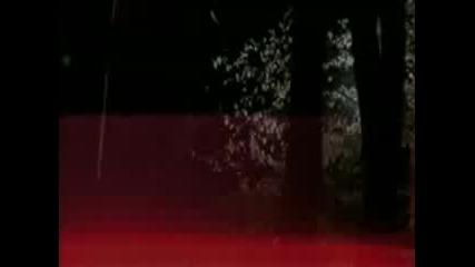 Pink - Sober Vbox7 x264