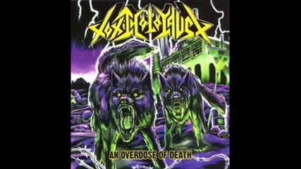 Toxic Holocaust - Death From Above 