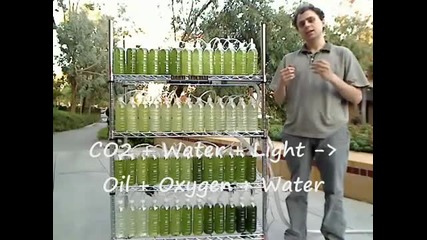 An Algae Bioreactor from Recycled Water Bottles