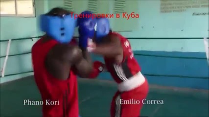 Тренировка по бокс в Куба