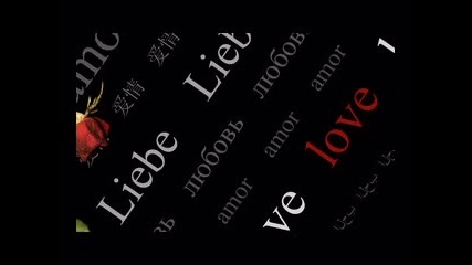 Stevie Wonder - I Just Call To Say I Love You