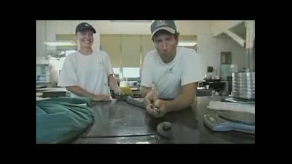 A Tribute to Mike Rowe and the crew of Dirty Jobs 
