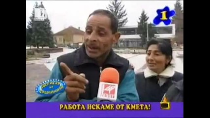 Тези роми избиха рибата - Господари на Ефира