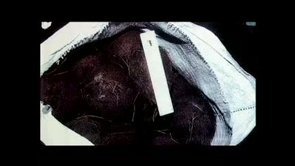 Macintyre : Underworld - series 2 promo