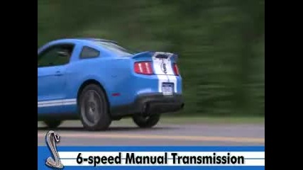 2010 Ford Mustang Shelby Gt500 T