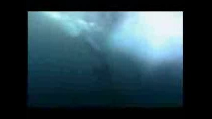 Реклама - Mountain - Dew - Shark