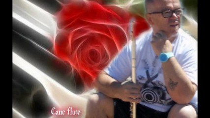 Cane Nikolovski - flute - Sunshine day