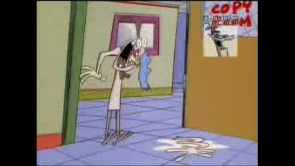 Cartoon Network - Cow And Chicken