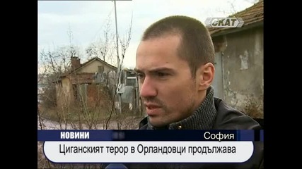 Циганският терор в Орландовци продължава 