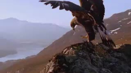 The Secret - Planet Earth