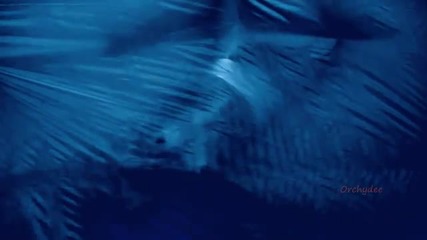 Chill Out Music ~ Blue Magic