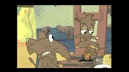 Cn - Camp Lazlo - Camp Kidney Stinks 