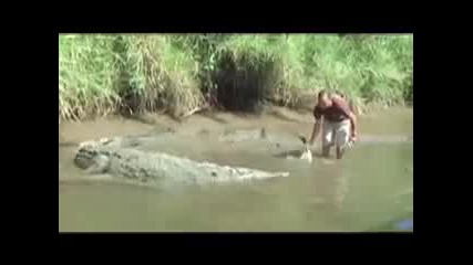 Човек целува крокодил, за да му пусне ръката 