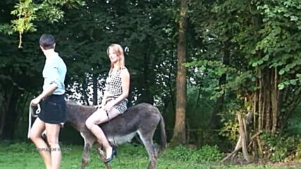 Donkey Riding