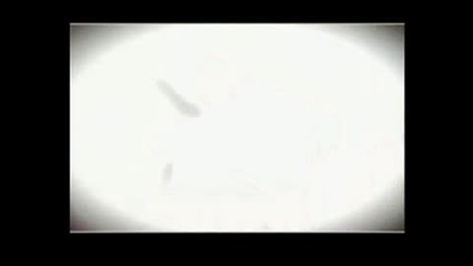 Narusasu - It was just a dream