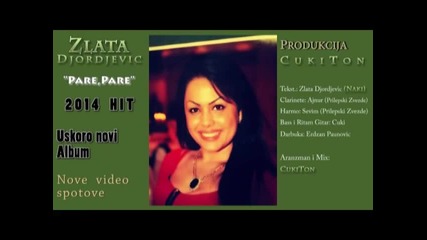 New Hit Zlata Djordjevic-pare Pare 2014