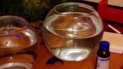 Земетресение София, 22.05.2012 03:01:16