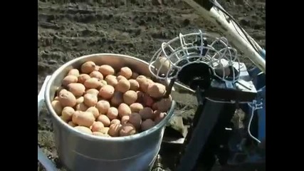 Как се сеят картофи в Русия?! Какво ще кажете за това изобретение на руските гении?!