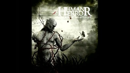 Human Error - A Lifetime By Design