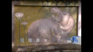 Белградският зоопарк се увеличи с един член - бебе хипопотам