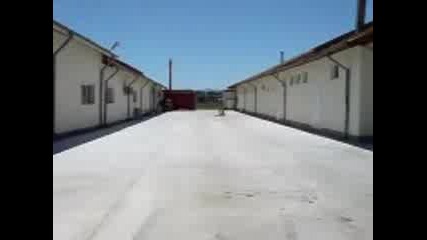 сиджест В Петърч 2