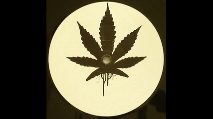 Alborosie - herbalist dubstep remix
