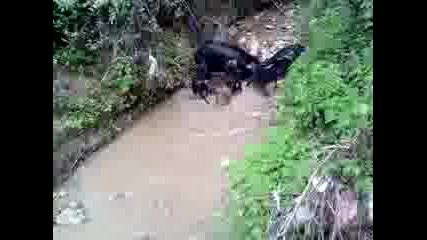 gater