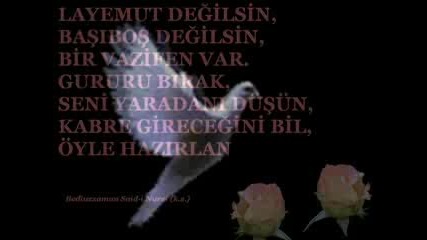 soidemir 