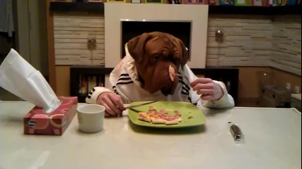 Куче яде като човек (смях)!!!