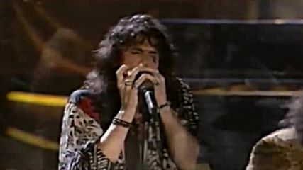 Aerosmith - Fever - 8.13.1994 - Woodstock 94 (official)