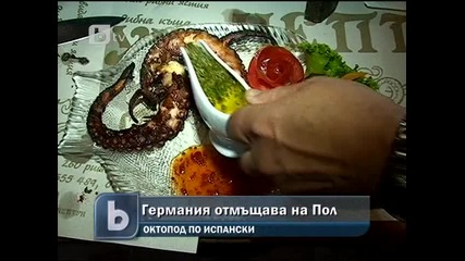Убиха Октопода Пол заради Загубта на Германия
